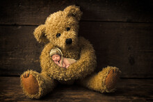 Teddybear With Baby