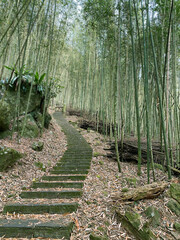 Park scenic mountaineer marble step stairs next to the bamboo trees, Stairways to bamboo ancient forest as you see, Japan and Taiwan are  
