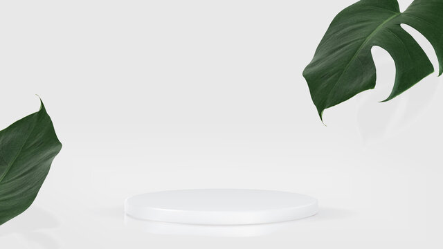 3d product presentation background with white podium and monstera leaf