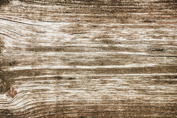 Wall Mural - Wood pattern. Closeup wood texture. Wooden closeup texture. Simple wood background. Grunge tree section. Growth rings wooden desk. Brown natural stripes backdrop.