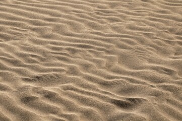 Wall Mural - ripples in sand, photo picture digital image