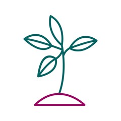 Canvas Print - Unique Plant Vector Line Icon