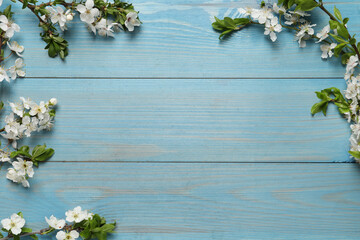  Cherry tree branches with beautiful blossoms on light blue wooden table, flat lay. Space for text