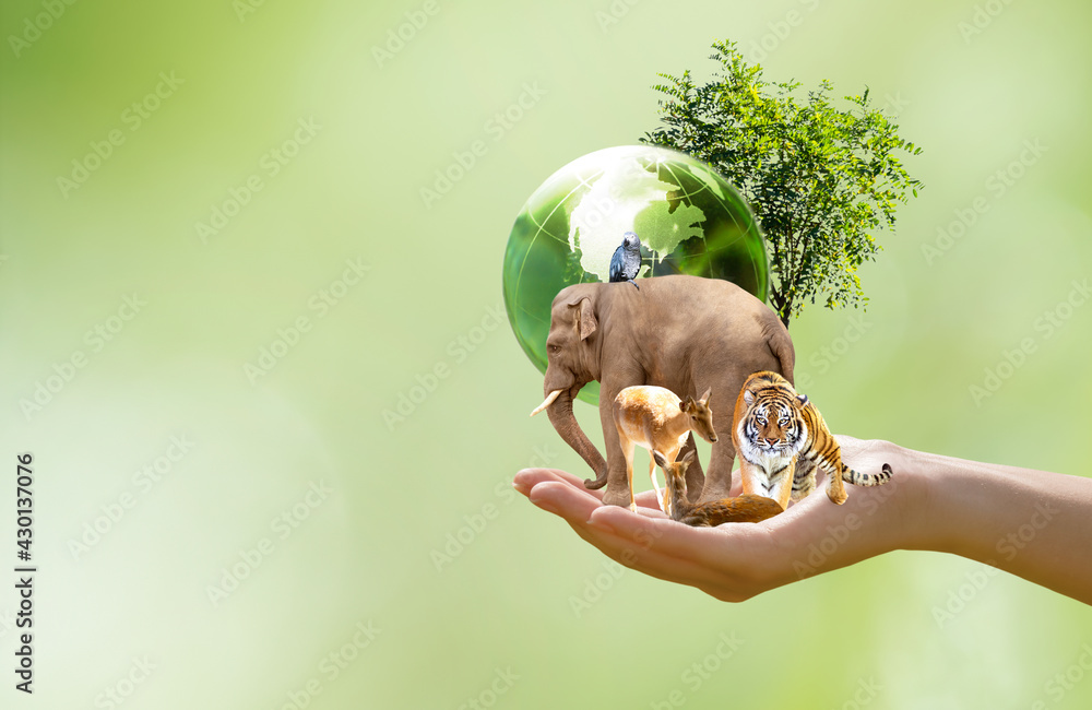 Earth Day or World Animal Day concept. Saving planet, protect wildlife nature reserve, protection of endangered species, biological diversity. Elephant, tiger, deer, parrot and tree with globe in hand - obrazy, fototapety, plakaty 