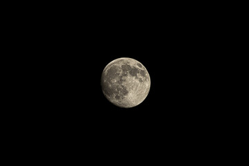 Wall Mural - the moon