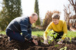 © ulza - senior couple plant seedlings of vegetables in the garden near the house.  slow life. pastoral life.  enjoy the little things.  Dreaming of Spring