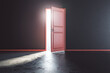 © Who is Danny - There is always a way out concept with sunlight coming through red open door into dark room