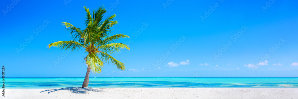 Banner of idyllic tropical beach with white sand, palm tree and turquoise blue ocean - obrazy, fototapety, plakaty 