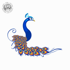 Wall Mural - abstract peacock logo vector template