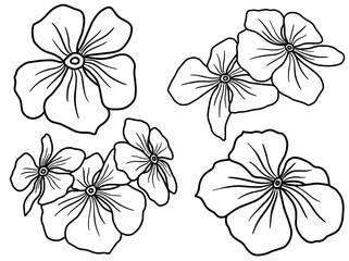 Wall Mural - Hand drawing and sketch flower with line art illustration.