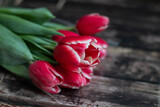 Fototapeta Kwiaty - Bouquet of spring tulips on the table