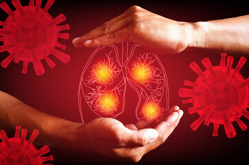 Human lung. lungs between two palms lung damage from the corona virus Covid 19. The technology concept.