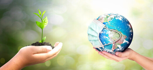 world environment day concept: hands holding earth globe and big tree over blurred nature background