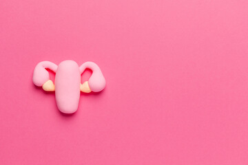 Wall Mural - The female reproductive organ on pink is the uterus with ovaries. Copy space for text.