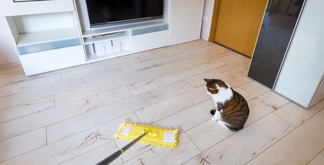 Microfiber yellow mop isolated on white wooden floor background, closeup, indoors. The cat plays funny with a mop.