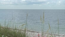 Outdoors-empty Beach-ocean-sea Oats And Sand Dune Foreground