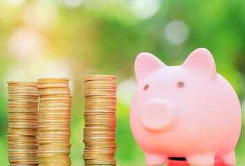 Piggy bank and coin with natural blurred background