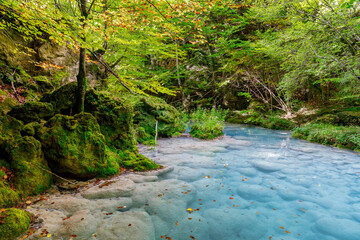 Wall Mural - Urederra river in Amescoa Valley, Navarra, Spain.