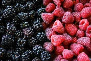 Raspberries and blackberries. Raspberries vs blackberries. Raspberry. Blackberry. Mix berries. Fruits. Fruit.