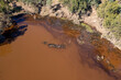 Drone aerial photograph of a polluted lake in Yarramundi Reserve in regional Australia