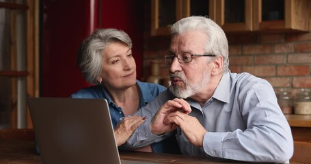 Wall Mural - Laughing sincere happy older middle aged retired married couple looking at laptop screen, enjoying pleasant distant talk, using web camera video call zoom application, distant communication concept.