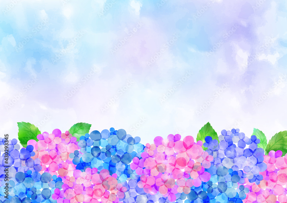 水彩 梅雨の紫陽花 背景フレーム Wall Mural Wallpaper Murals Iwozon 水彩 梅雨の紫陽花 背景フレーム Wall Mural Wallpaper Murals Iwozon