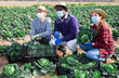 © JackF - Farmers in protective mask posing with harvest of cabbage