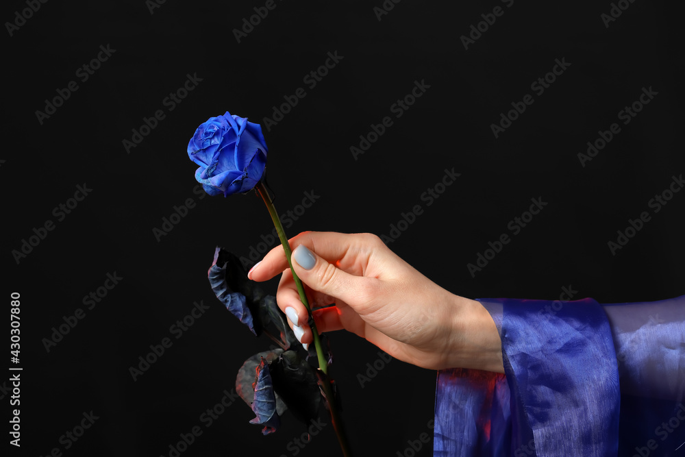 Female hand with blue rose and fabric on dark background