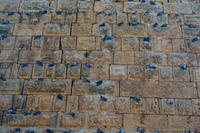 Wall Of The Castle With Pigeons 