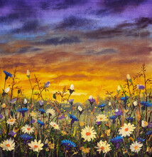 White Daisies Flowers Blue Cornflowers Summer Landscape Field Bright Palette Knife Painting, Impressionism Illustration Nature Artwork Art