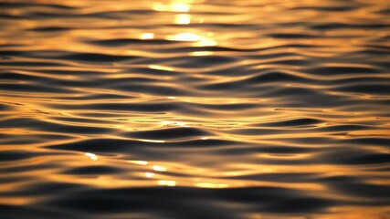 Wall Mural - a seascape during sunset. waves as a backdrop. summer. rest and relaxation. nature video as backgrou