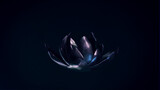 Lotus Blüte aus Metall vor dunklem Hintergrund | Organic Design | 3D Render Illustration 8K