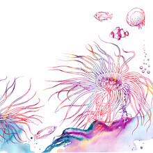 Colorful Sea Anemone Reef Scenery Clip Art.