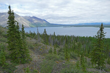 Kathleen Lake With Spruce Boreal Forest Landscape, Kluane National Park, Yukon, Canada