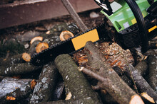 A Man Cuts Firewood With A Saw