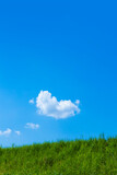 Fototapeta Tęcza - 緑の草原と青空に雲