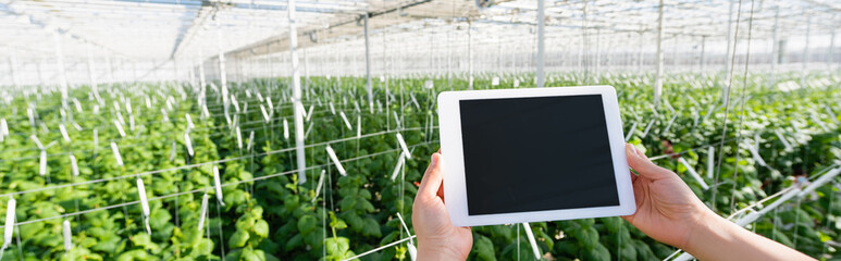 partial view of farmer holding digital tablet with blank screen in glasshouse, banner