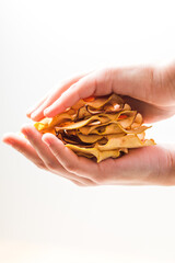 Canvas Print - Top view handful of round dried slices of apple