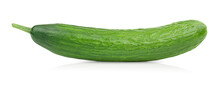 One Cucumber Lies Lengthwise On A White Isolated Background