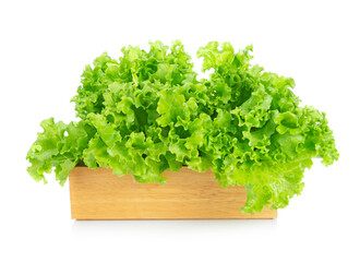 Wall Mural - Salad leaf. Lettuce isolated on white background.