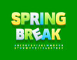 Vector modern banner Spring Break. Colorful 3D Font. Creative Alphabet Letters and Numbers set