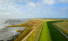 Netherlands, Zeeland, Rilland, Aerial View Of Pastures At Coastline