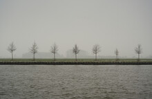 Netherlands, Utrecht, T Goy, Row Of Bare Trees And River On Foggy Day