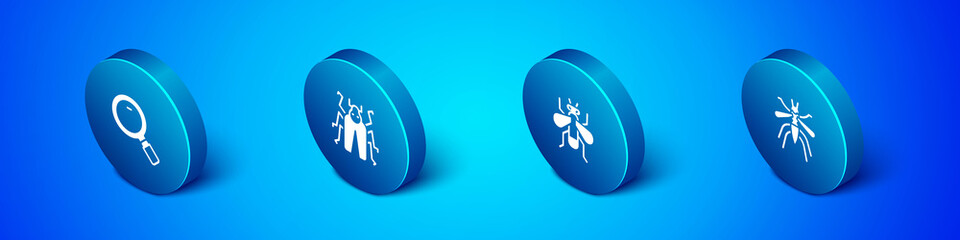 Sticker - Set Isometric Magnifying glass, Insect fly, Mosquito and Beetle bug icon. Vector