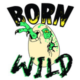 Fototapeta Dinusie - born wild dinosaur egg green vector