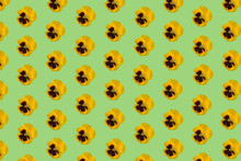 Creative Pattern With Yellow Pansy Flower On Green Background. Minimal Nature Spring Flat Lay Concept.