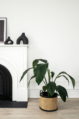 Wall Mural - Spathiphyllum in basket standing near modern fireplace