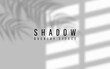 © Oleh - Shadow overlay effect. Transparent shadow of window. Vector illustration