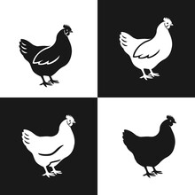 Hen Icon Set. Silhouettes Of Hen Chicken In Simple Flat Style. Vector Illustration.
