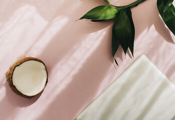 Canvas Print - Top view shot of a pink surface, a laptop on it, green plant leaves, and half of a cocon